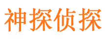 东方寻人公司